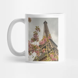 Blooming Beauties In Paris Mug